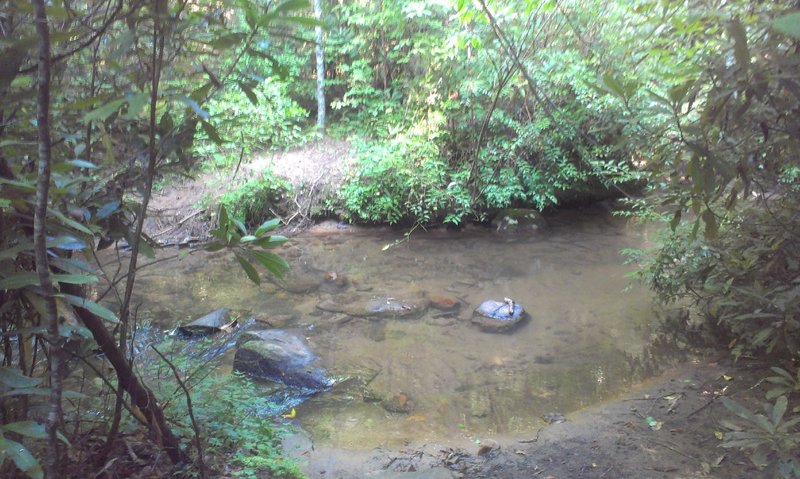 First creek crossing