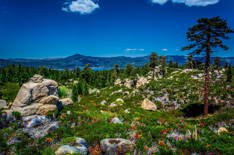 Skyline Trail near Big Bear.