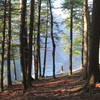 View of Gorge through the woods.