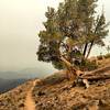 Amazing trail and even more amazing views on Osberg Ridge.