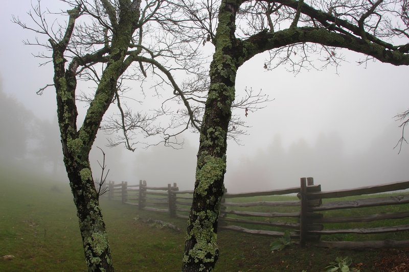 Behind the Rocky Knob.