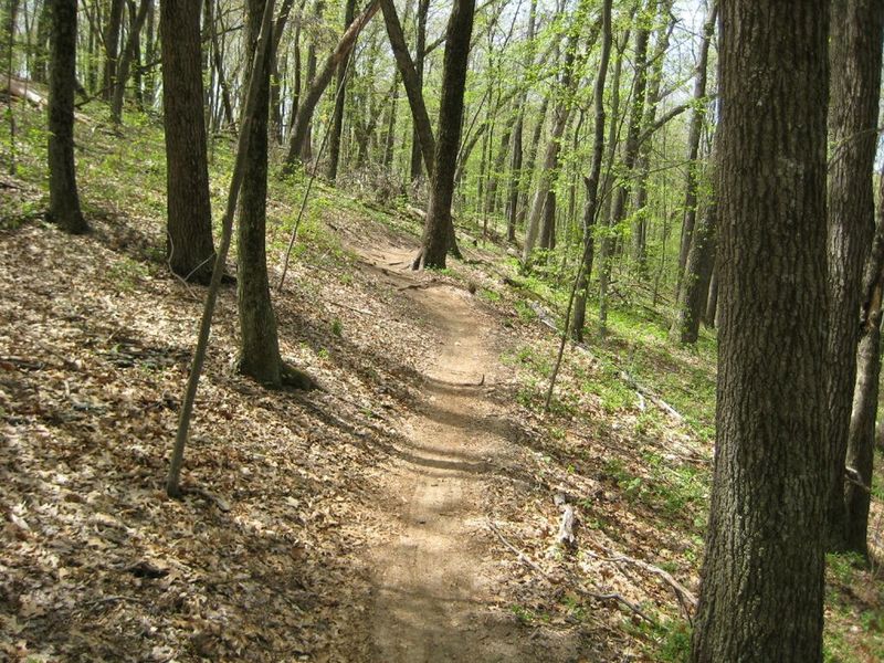 Beginning of a rooty climb.