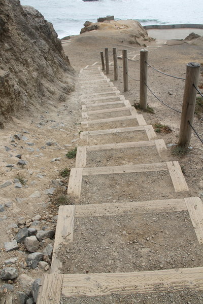 Staircase lead to Point Lobos Overlook