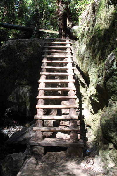 Ladder on steep Ravine Trail.