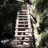 Ladder on steep Ravine Trail.