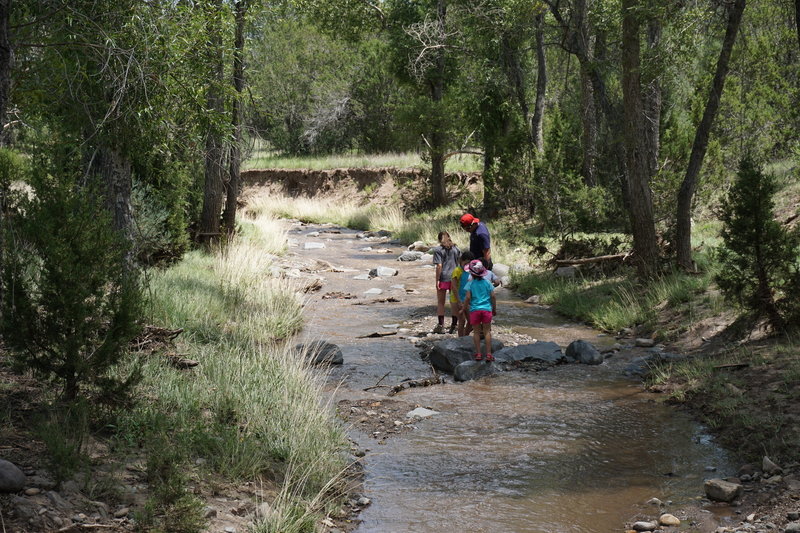 Cooling off in Bonito Creek.