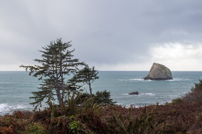 Ocean view from Yurok Loop Trail.