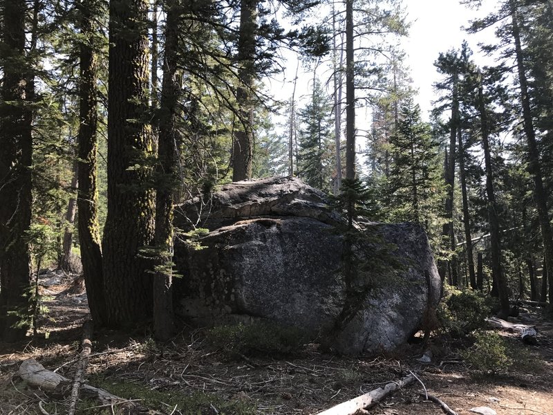 Sugar Lake Trail in Russian Wilderness