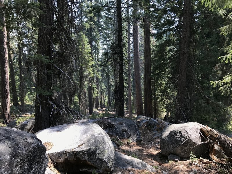 Sugar Lake Trail in Russian Wilderness