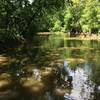 The Rouge River looking out from the trail.