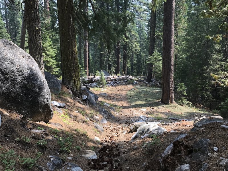 Sugar Lake Trail in Russian Wilderness