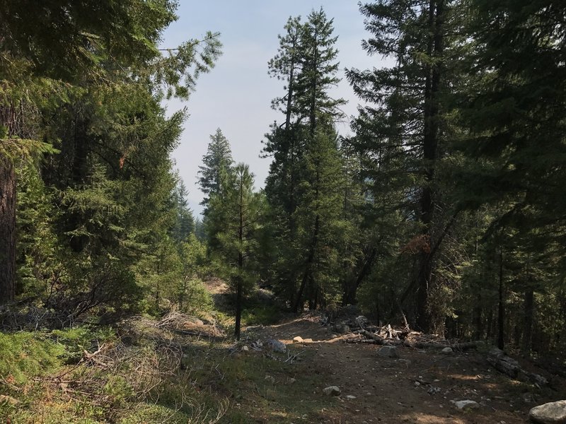 Sugar Lake Trail in Russian Wilderness