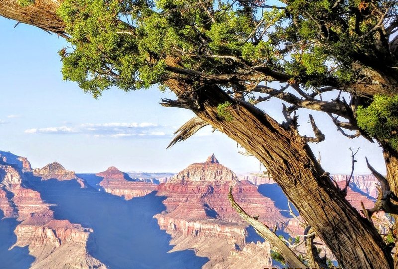 There might not be a lot of distance to cover, but the views offered by the Rim Trail are the kind that appeal to everyone.