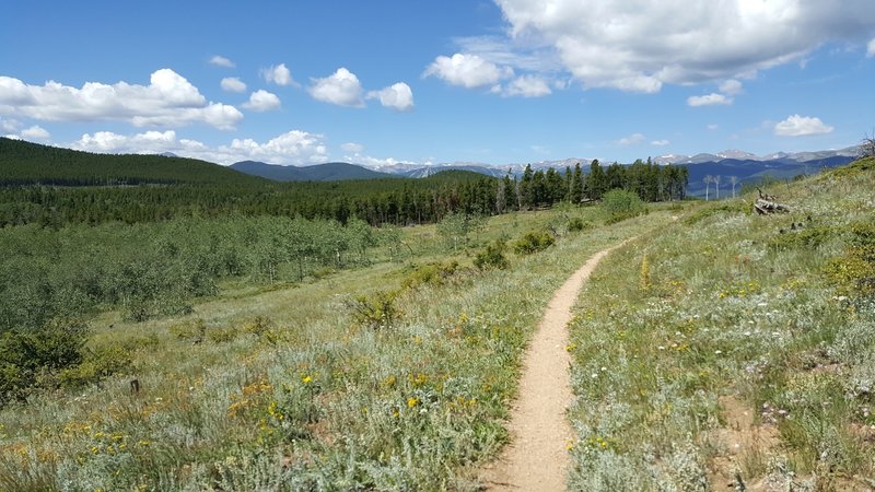 Start of the hike on Lollipop.