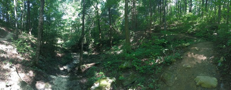 Panorama from near the bottom of the gorge.