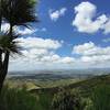 Another lookout - with great view to the end of the track