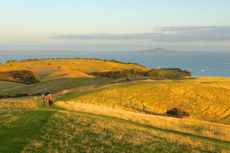 Shakespear Regional Park with Rangitoto in the background.