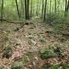 A very rocky section of the Wiccopee Trail.