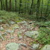 More rocks along the Wiccopee Trail.