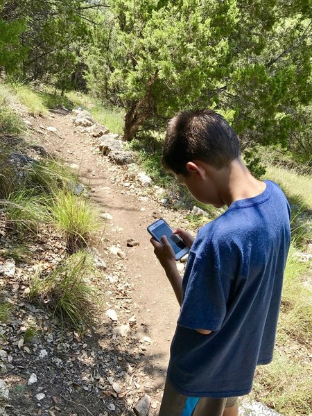 My son navigating us through our hike and creating new GPS tracks with the Hiking Project app ! :)