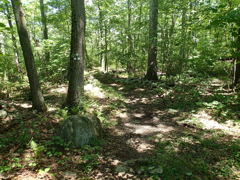 Start of Cabot Trail from the Perkins Trail.