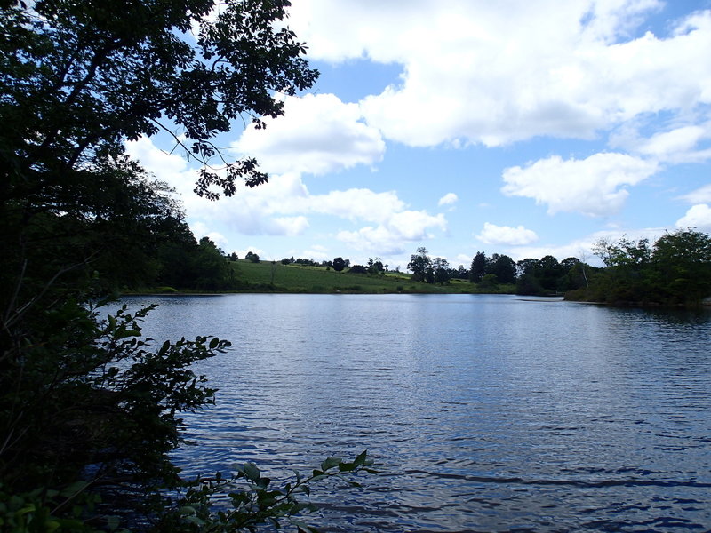 A nice view across Jordan Pond.