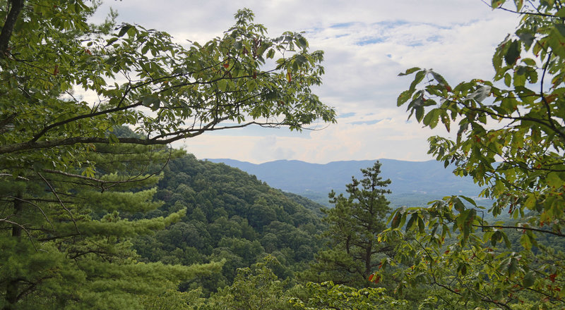 Views into the New River Valley even in the summertime.