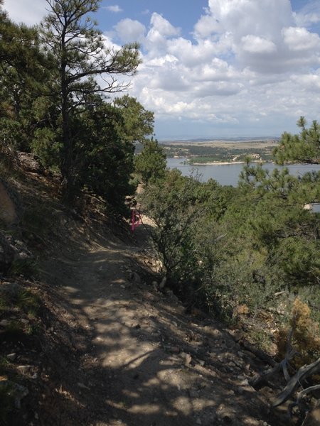 A view south along the trail corridor of the Narrows Bluff Trail.