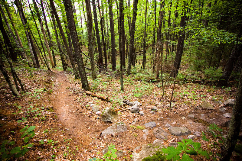 Rock Lake singletrack.