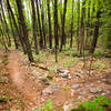 Rock Lake singletrack.