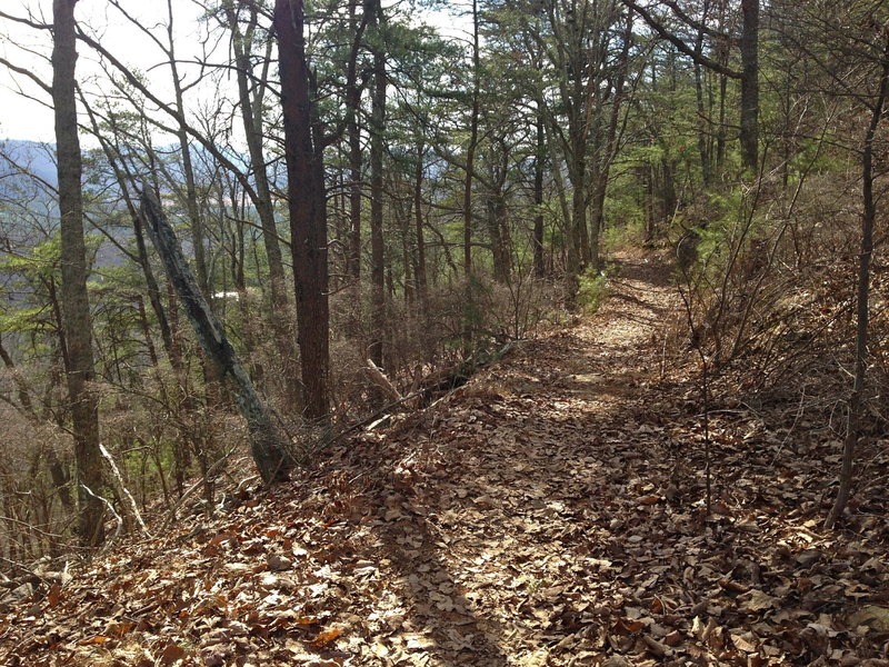 Looking back from the crest after the initial climb.