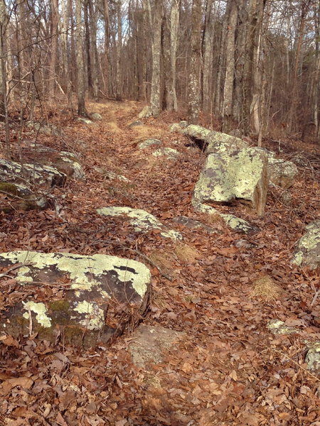 Nice sections abound on the ridgeline.