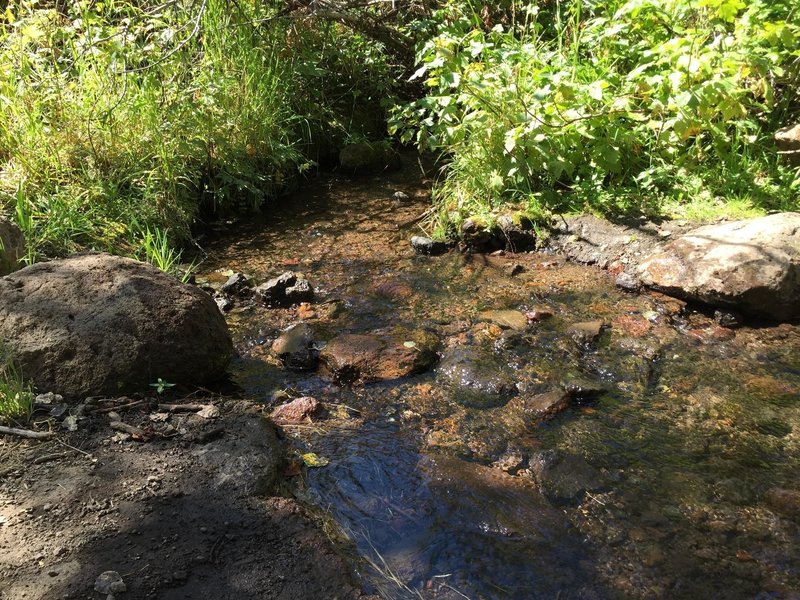 Fox Creek is a great spot to cool off on a hot day!