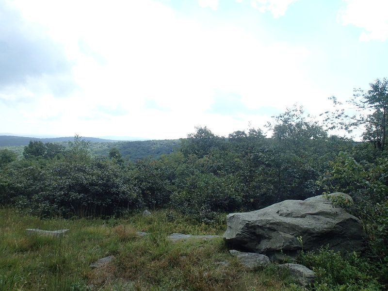 The only view point along the Charcoal Burner Trail