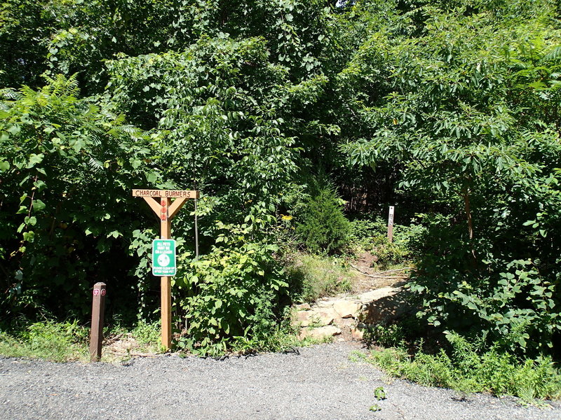 Charcoal Burner Trail at route 301