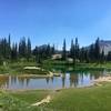 Naches Peak Loop