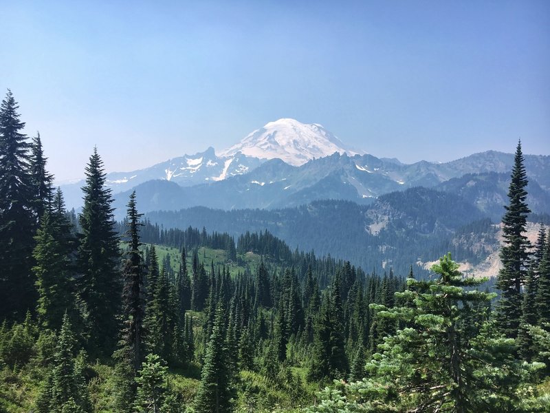 Majestic Mt Rainier view from the trail