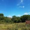 Entrance to the Basswood Trail in early August.