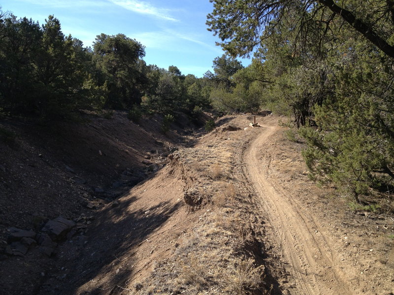 Smooth singletrack paralleling a stream bed