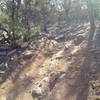 Rocky trail