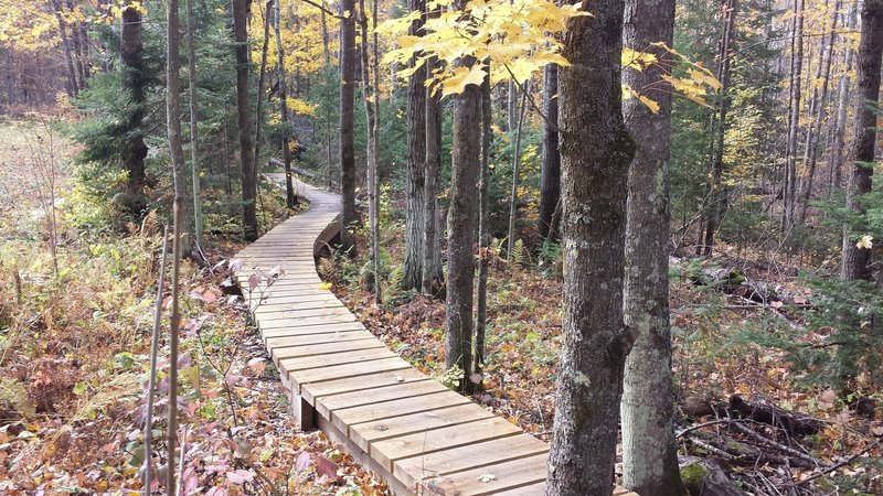 Nice little bridge section near the start.