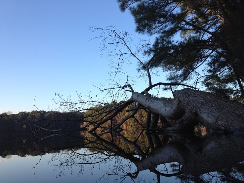 Lake Johnson reflections