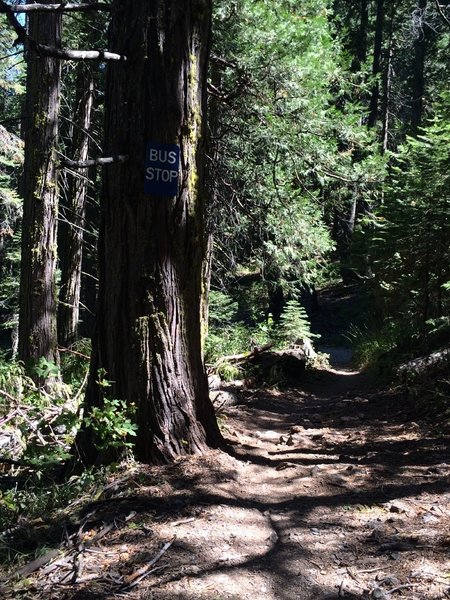 Convenient "Bus Stop" next to a mining claim and camp.