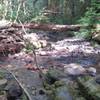 Larison Creek meandering down to the reservoir