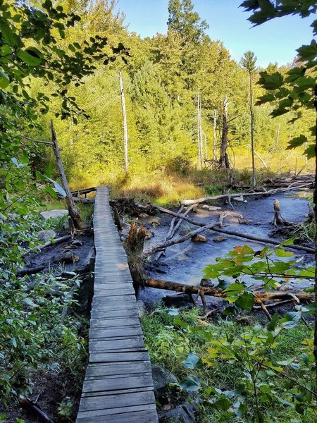 Cool (and kinda sketchy) bridge crossing on Red Loop.