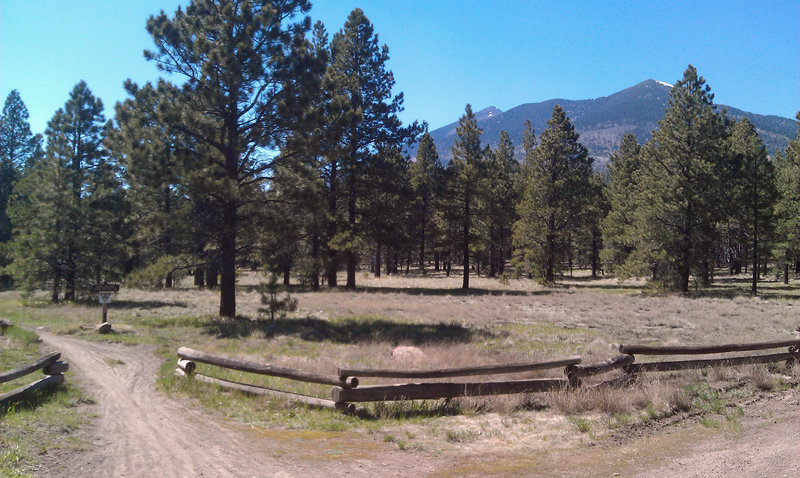 View from the Sunset Parking Lot. Schultz Creek Trail heads out from here.