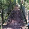 Bluff Creek Ranch - Pay Dirt Bridge.