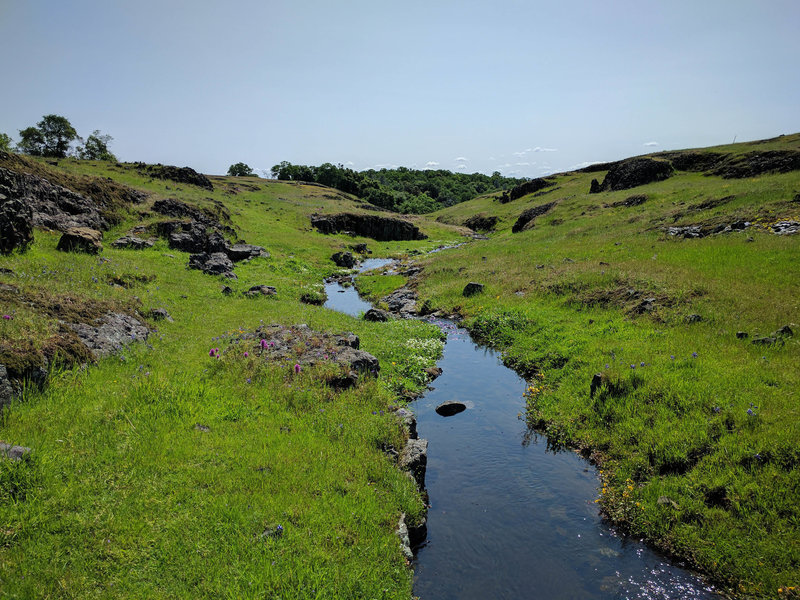 Verdant green and flowing creeks.