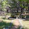 Nice lunch spot along Yaupon Creek on Hamilton Greenbelt II Trail.