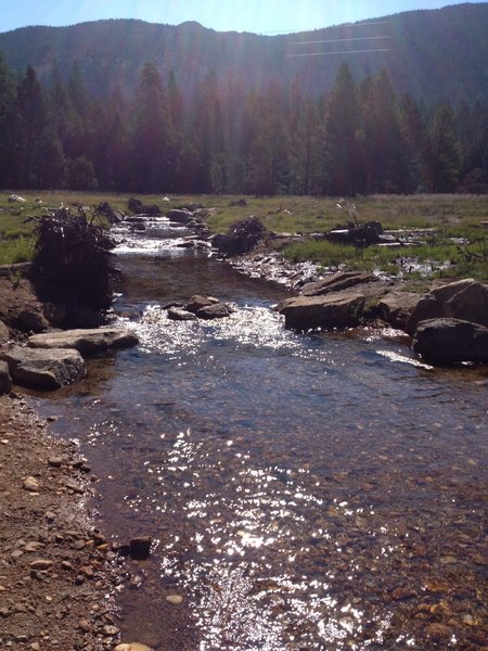 Cold Creek (facing south, up the mountain)